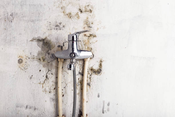  Austin, TX Mold Removal Pros