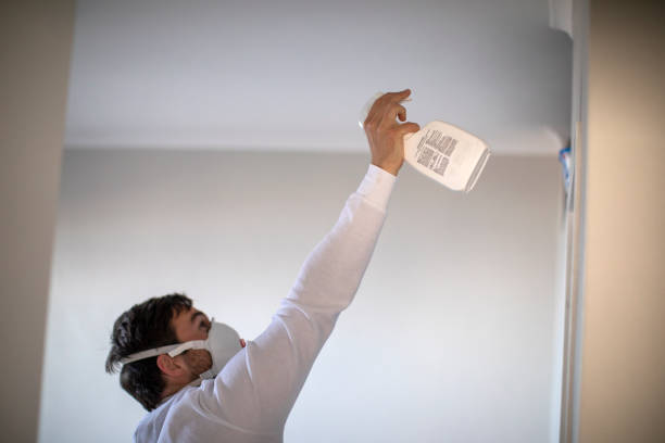 Best Residential Mold Removal  in Austin, TX