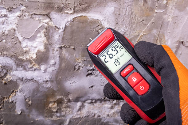 Best Crawl Space Mold Removal  in Austin, TX