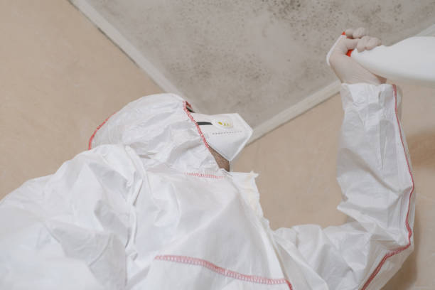 Austin, TX Mold Removal Company